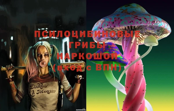стаф Балахна