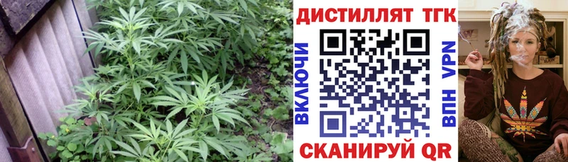 сколько стоит  Баксан  ТГК вейп 