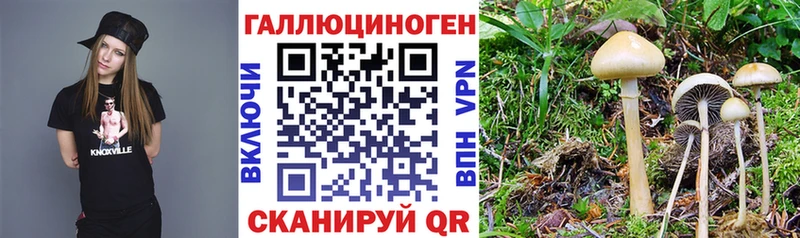 Псилоцибиновые грибы мицелий  ОМГ ОМГ онион  Баксан 