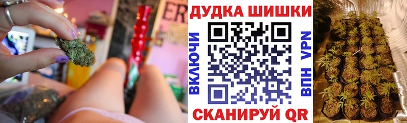 Каннабис планчик Баксан